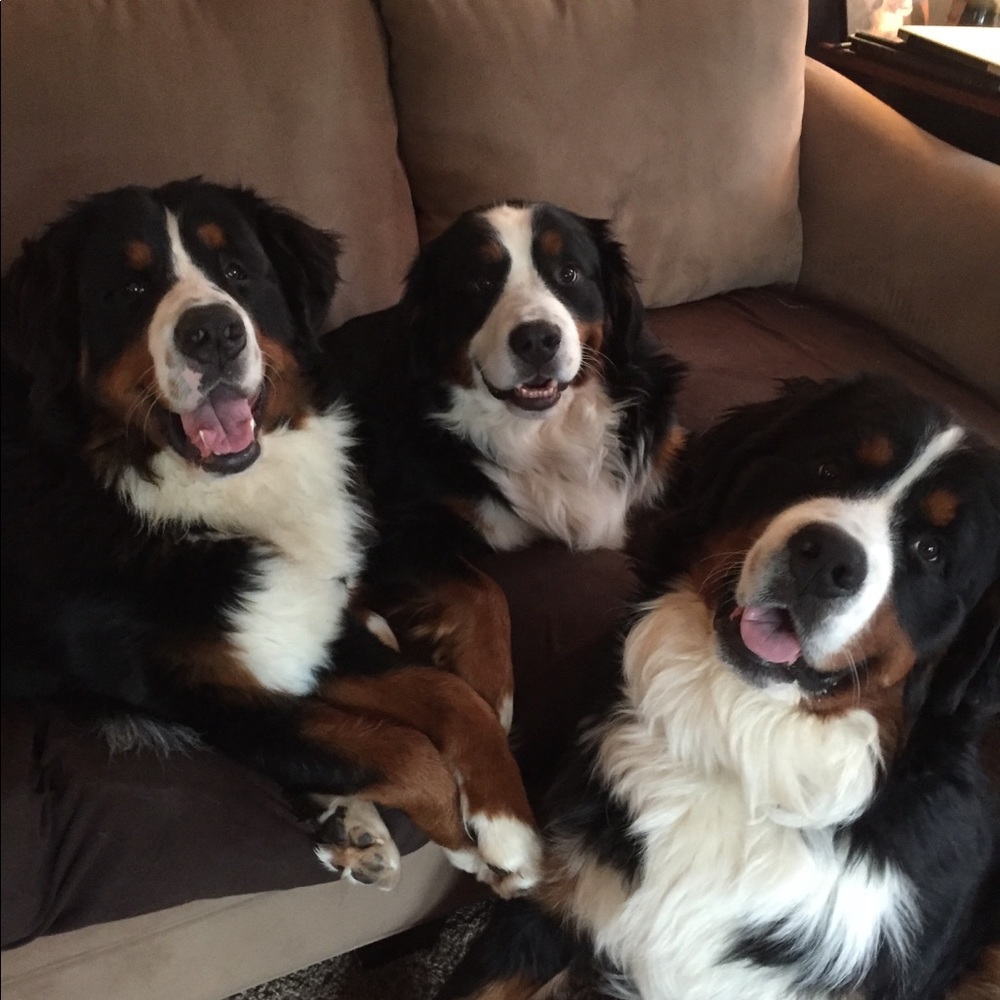 Meet your Posher, Jill